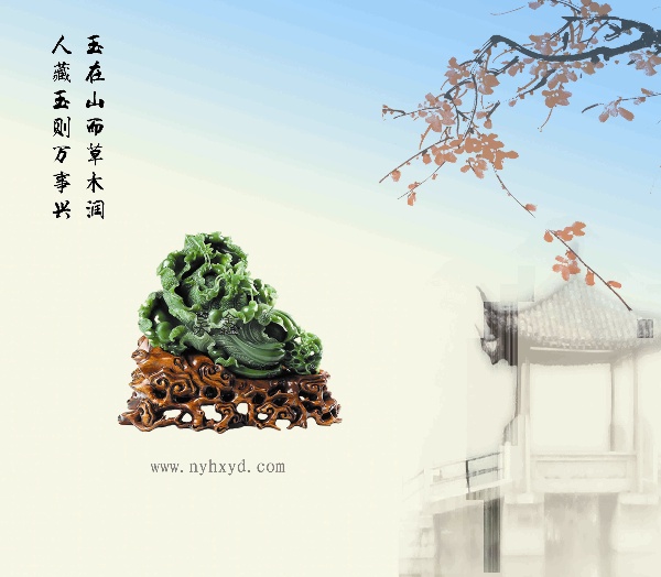 玉白菜